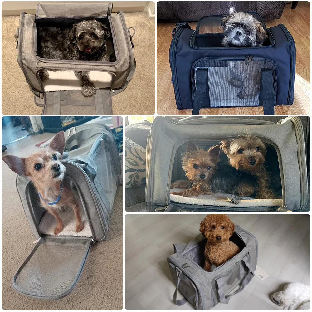Cozy-Pet Travel Backpack