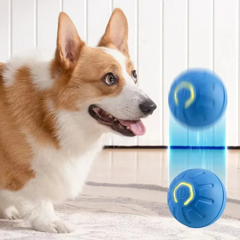 Smart USB Jumping Ball Toy - Yappyboo 