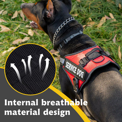 Reflective Dog Walking Harness