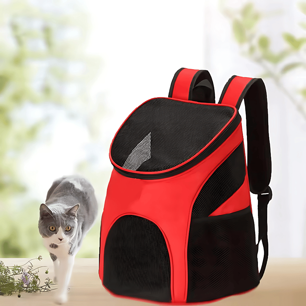 Comfy Small Pet Travel Backpack - Yappyboo 