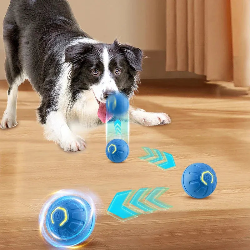 Smart USB Jumping Ball Toy - Yappyboo 