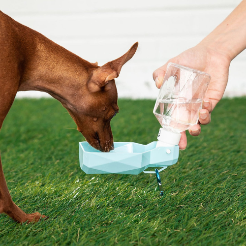 Portable Travel Pet Water Bottle – Foldout Bowl for On-the-Go Hydration