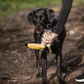 Portable Travel Pet Water Bottle – Foldout Bowl for On-the-Go Hydration