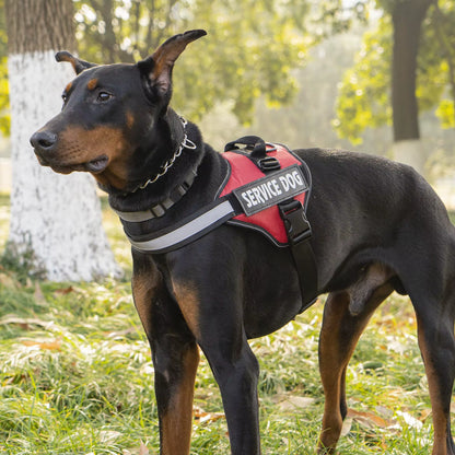 Reflective Dog Walking Harness