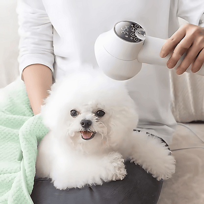 Pet Hair Care Dryer Brush - Yappyboo 