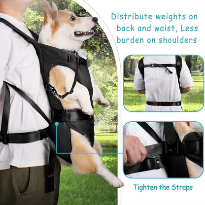 Front-Facing Dog Carrier Backpack for Outdoor Adventures - Yappyboo 