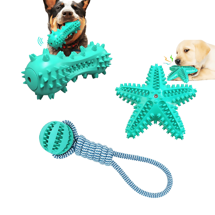 3 Pack Squeaky Dog Toothbrush Toys – Durable, Squeaky, and Perfect for Dental Health - Yappyboo