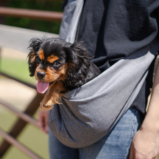 Comfort Mesh Pet Sling Carrier - Hands-Free Travel for Cats and Small Dogs - Yappyboo