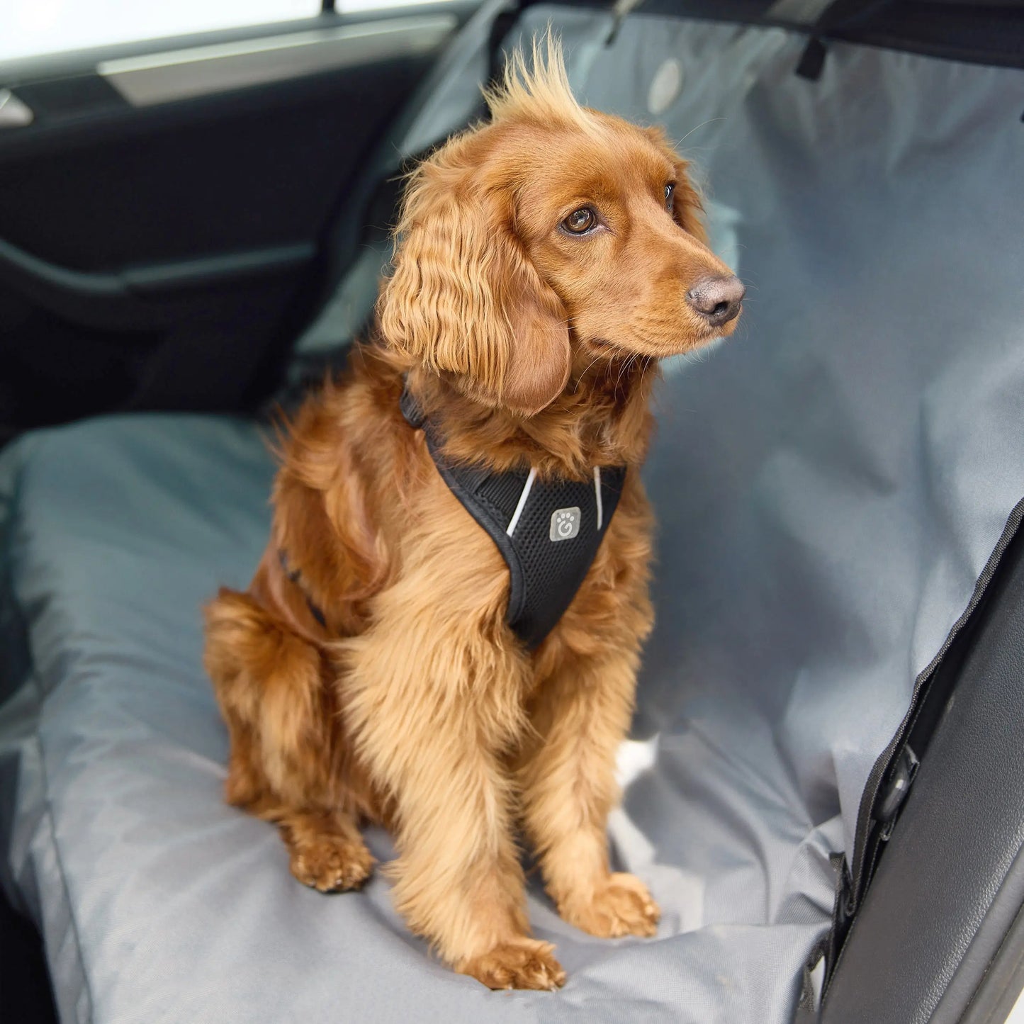 Adjustable Travel Dog Harness – Lightweight & Safe for Car Rides and Walks