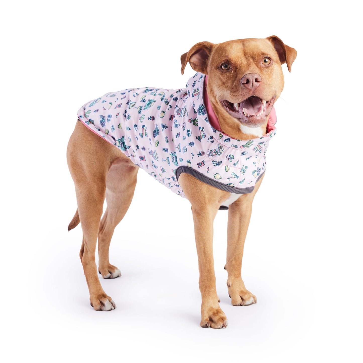 Reversible Waterproof Dog Raincoat – Stylish, Functional, and Adjustable