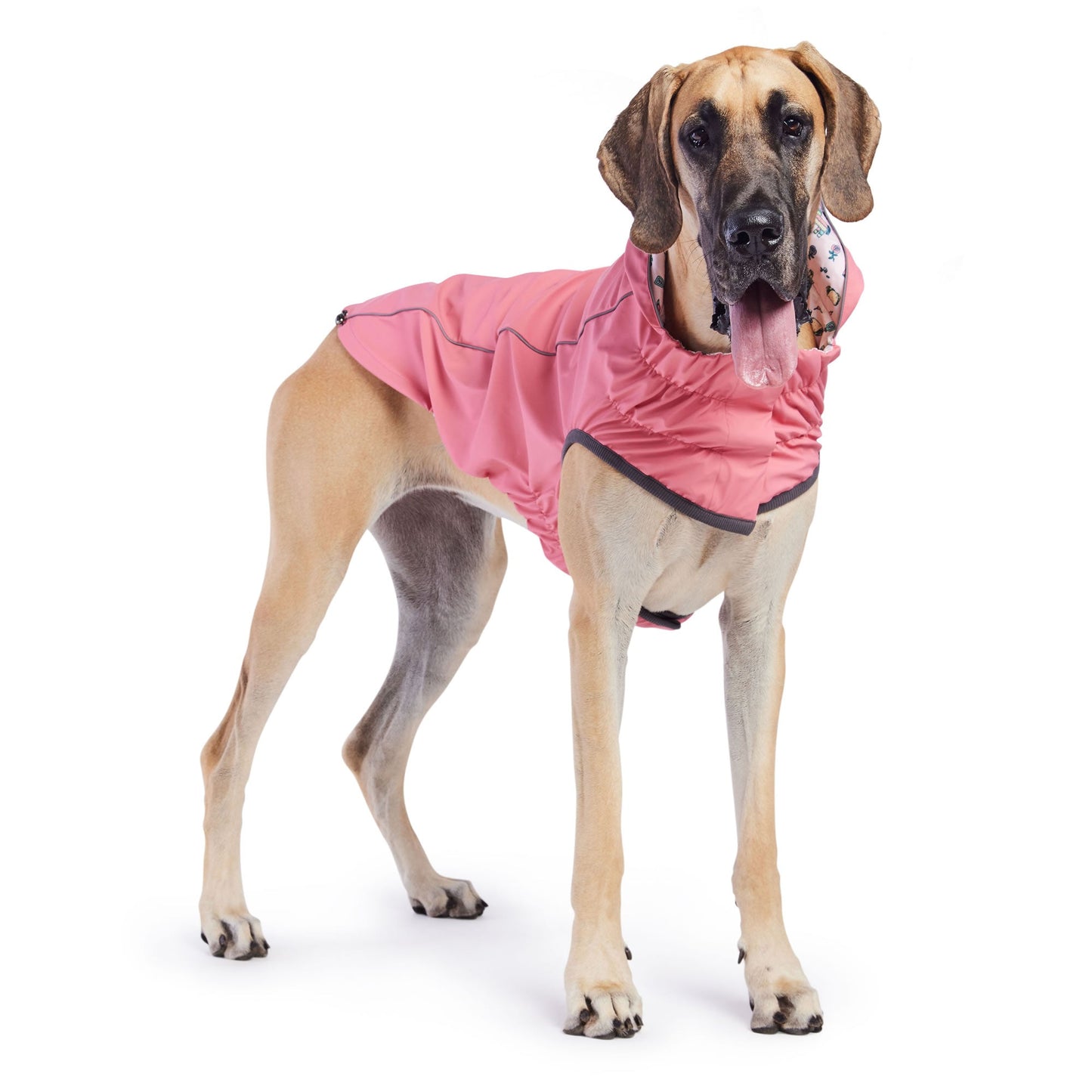 Reversible Waterproof Dog Raincoat – Stylish, Functional, and Adjustable