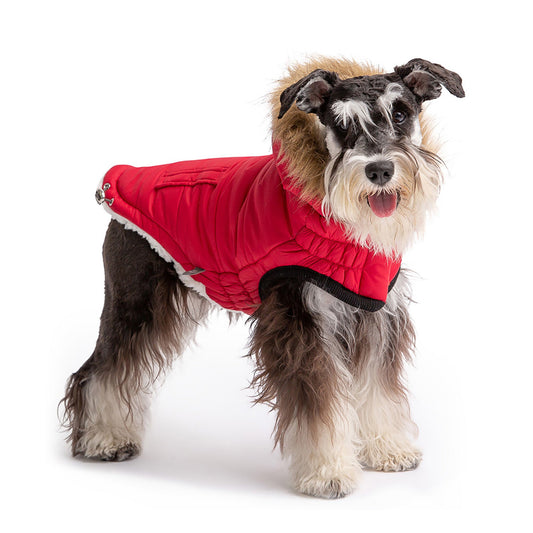 Urban Parka for Dogs – Stylish, Warm & Water-Resistant