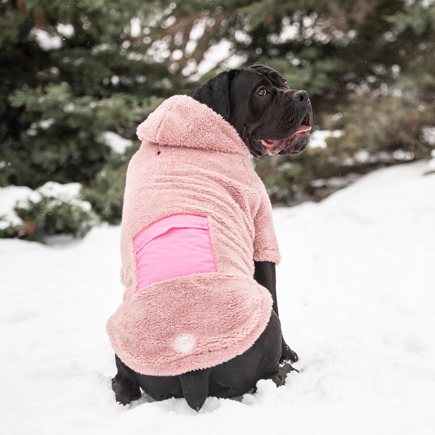 Super Soft Sherpa Fleece Dog Hoodie – Cozy Comfort with Neon Pocket