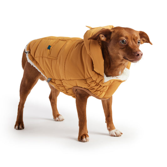 Ultra-Warm Super Puff Dog Parka – Snug & Stylish for Every Pup!