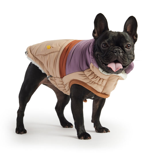 Retro Color Block Dog Puffer – Stylish, Warm, and Water-Repellent