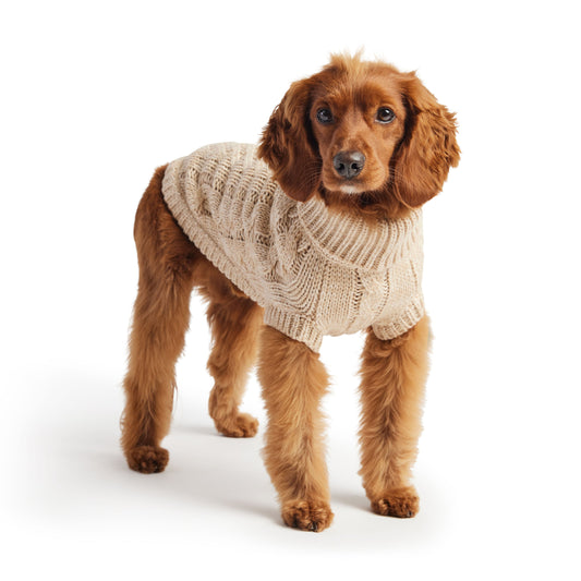 Chunky Knit Dog Sweater – Cozy & Stylish for All Seasons