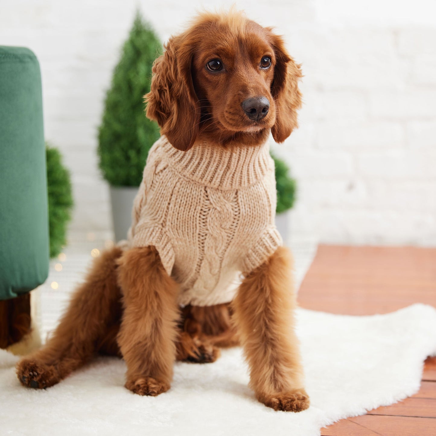 Chunky Knit Dog Sweater – Cozy & Stylish for All Seasons