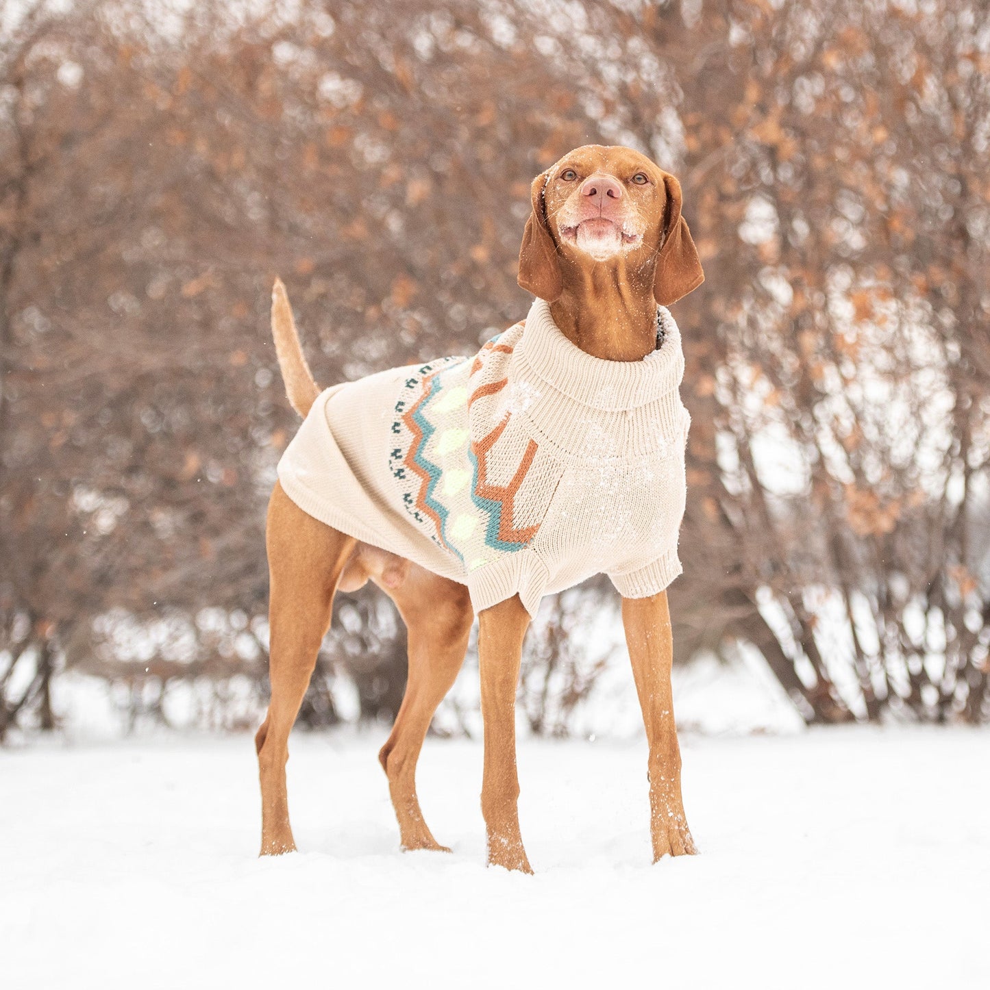 Vintage-Inspired Turtleneck Dog Sweater – Cozy & Stylish