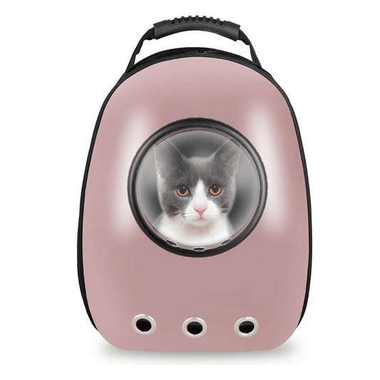 Bubble View Pet Carrier Backpack - Yappyboo