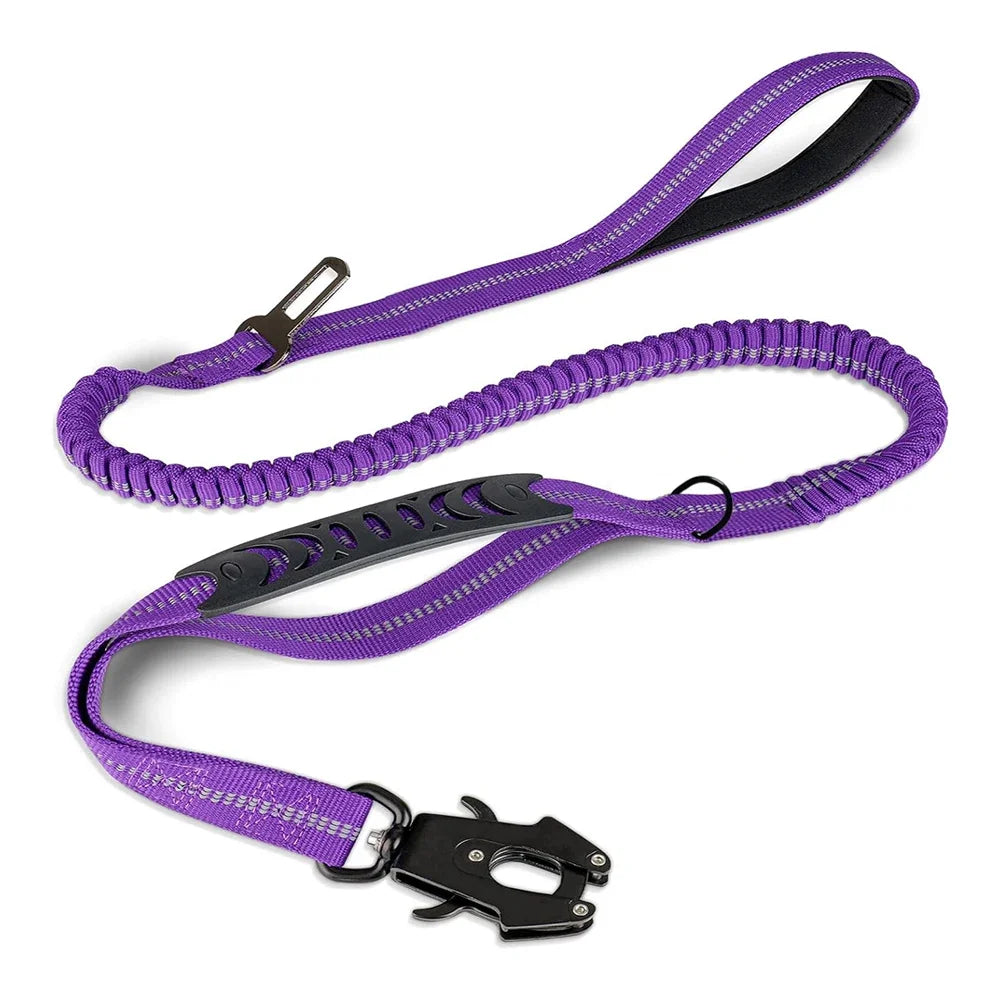 Shock Absorbing Pet Leashes with Car Seatbelt