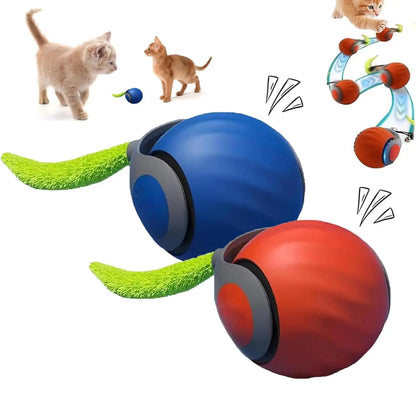 Interactive Cat Adventure Ball