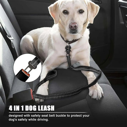 Shock Absorbing Pet Leashes with Car Seatbelt
