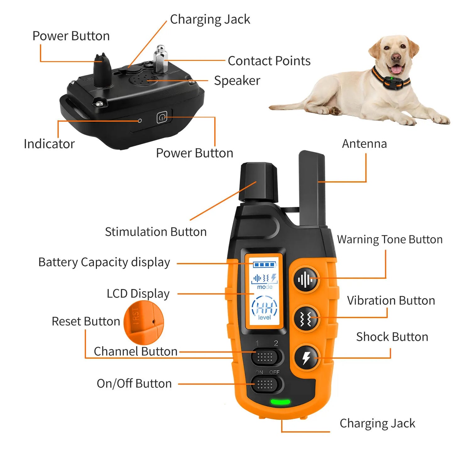  Remote Control Dog Training Collar 