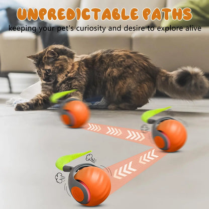 Interactive Cat Adventure Ball