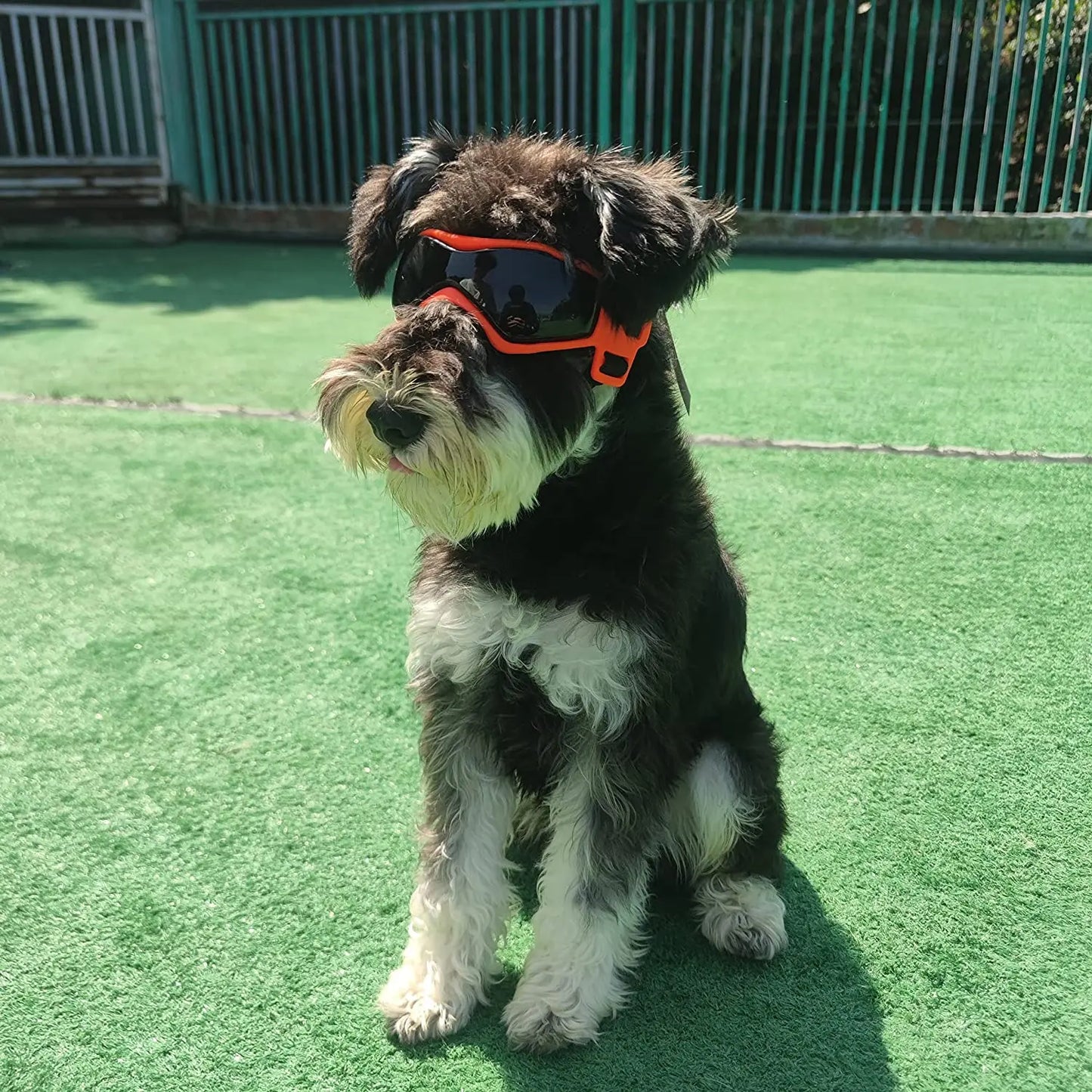 UV Protective Goggles for Dogs 
