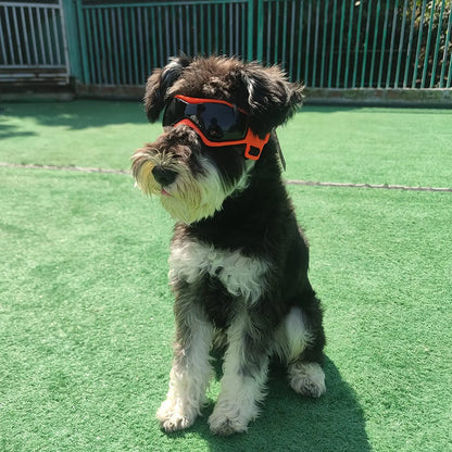 UV Protective Goggles for Dogs 