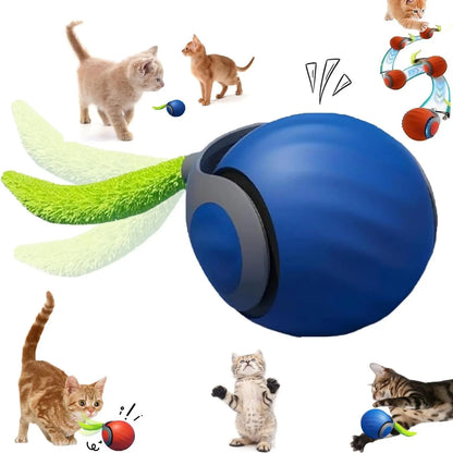 Interactive Cat Adventure Ball