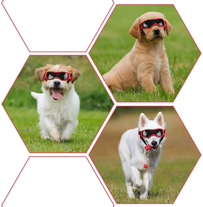 UV Protective Goggles for Dogs 