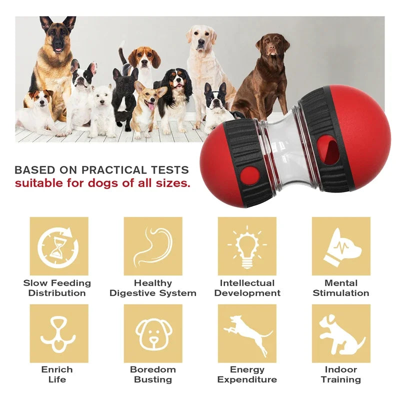 Smart Play Dog Ball - Yappyboo 