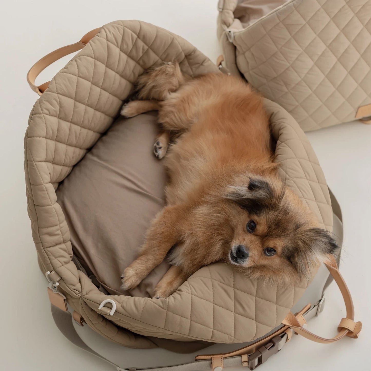 Cozy Pet Travel Booster Seat