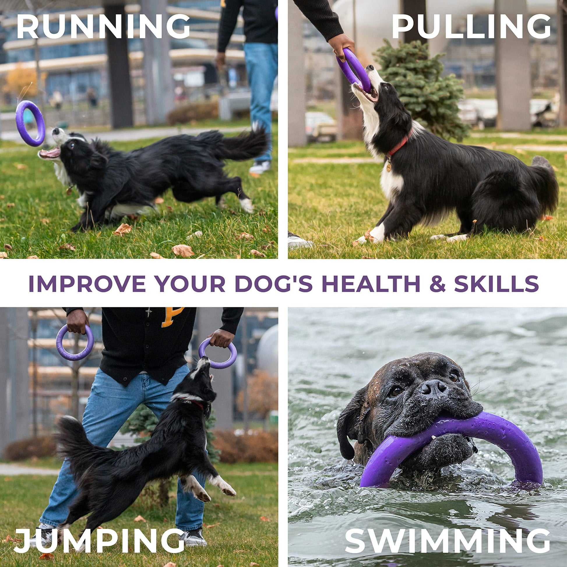 PULLER Dog Fitness Tool – Multifunctional Toy for Exercise, Play, and Bonding - Yappyboo