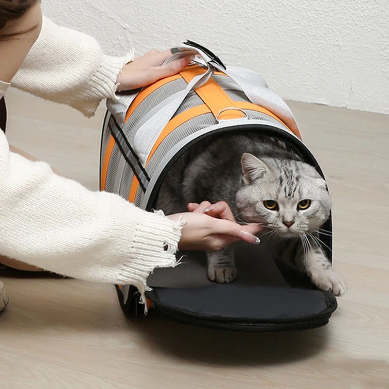 Paws & Cuddles Pet Travel Bag