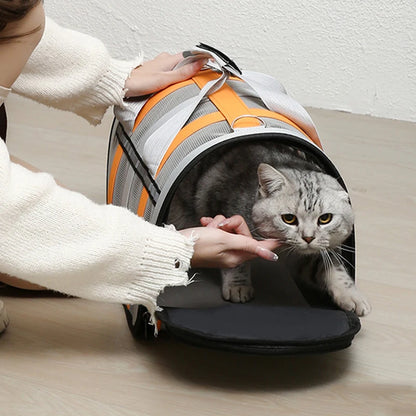 Paws & Cuddles Pet Travel Bag