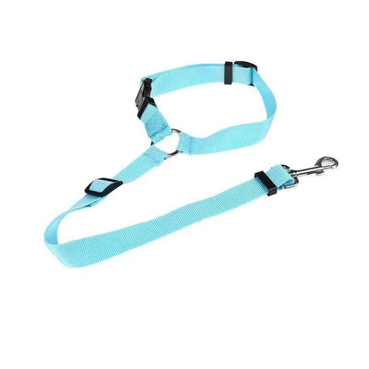 Pet Safe Ride Leash