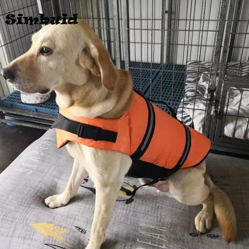 Safe & Stylish Dog Life Vest