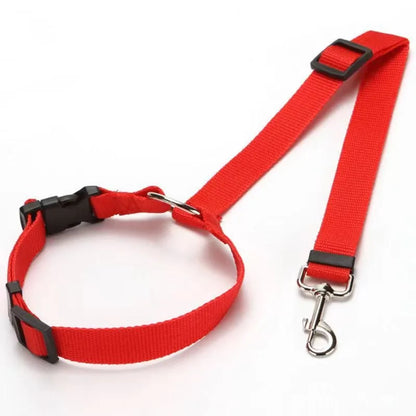 Pet Safe Ride Leash