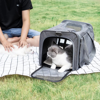 Comfort Travel Pet Carrier
