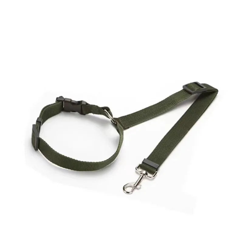 Pet Safe Ride Leash