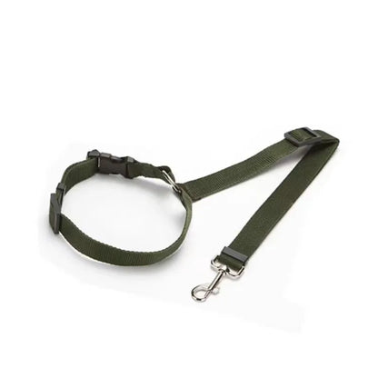 Pet Safe Ride Leash