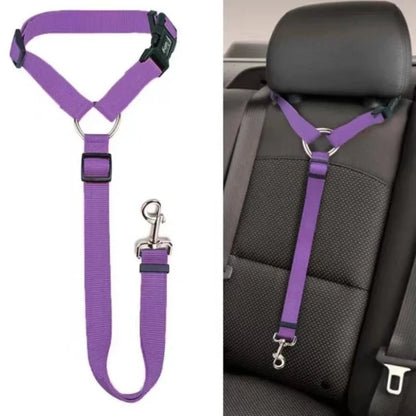 Pet Safe Ride Leash