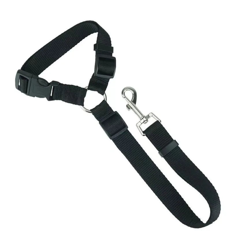 Pet Safe Ride Leash