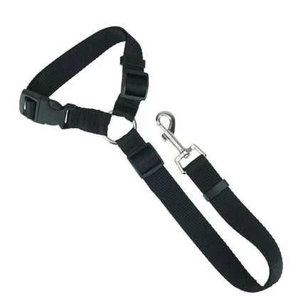 Pet Safe Ride Leash