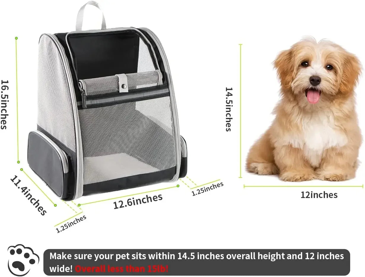 Comfy Cat Travel Backpack