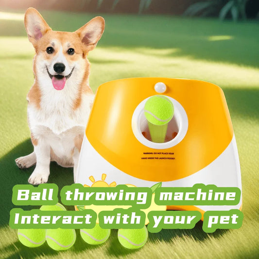 Fetch Fun Automatic Dog Launcher