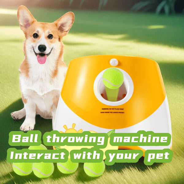 Fetch Fun Automatic Dog Launcher