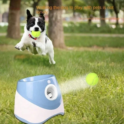 Fetch Fun Automatic Dog Launcher